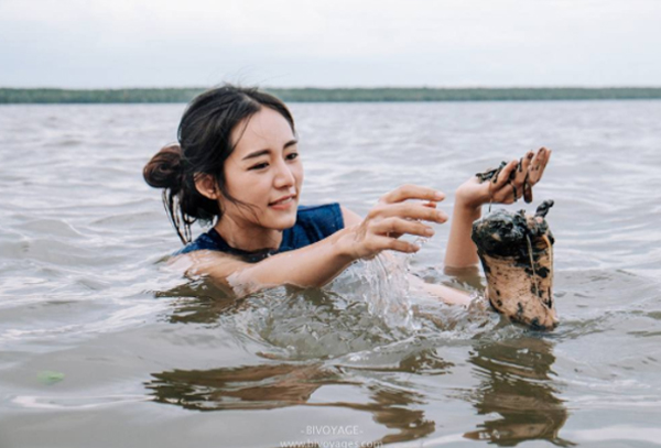 ใบเฟิร์น-อัญชสา